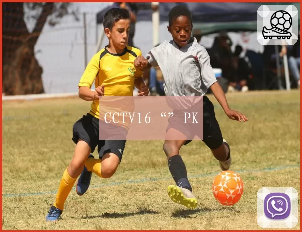 CCTV16“”PK