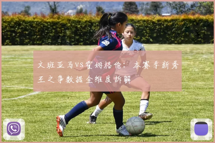 文班亚马vs霍姆格伦：本赛季新秀王之争数据全维度拆解