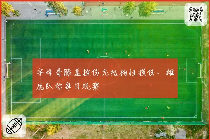 字母哥膝盖挫伤无结构性损伤，雄鹿队称每日观察