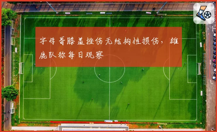 字母哥膝盖挫伤无结构性损伤，雄鹿队称每日观察